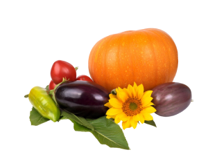 Autum